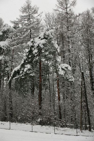 410 :: Snow in April